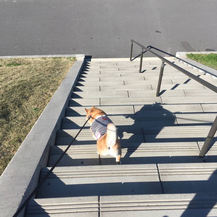 A91c77e2 9cd6 4677 871d b33ee791618a 1543117686805