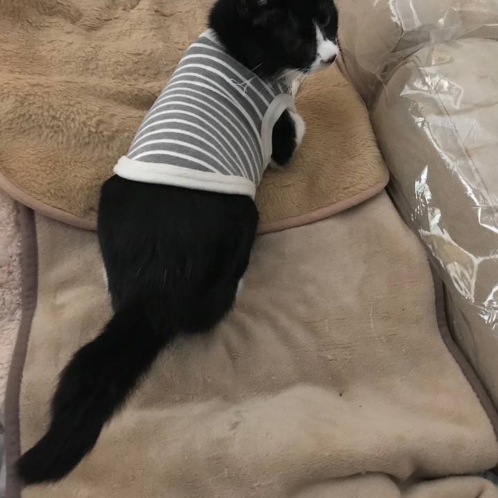 A91c80cc 1b14 4e6e a03d d767fe6c97c8 1514109926310