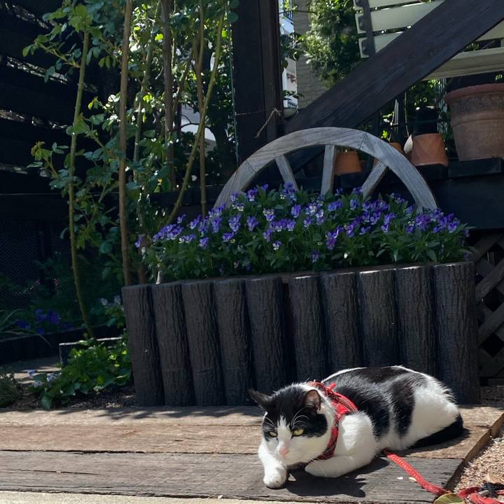 A91c9a49 85bc 4ec0 ba45 37533793354d 1619060226413