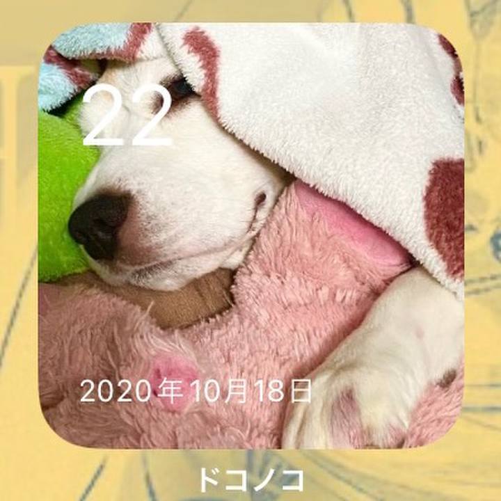 A91cacaa 911e 4a7c 9953 4de03cf7abb0 1697933393961