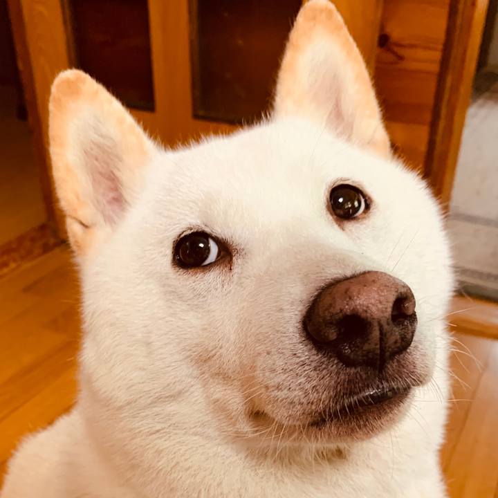 A91cafdc 377d 48ca bb56 3d72a0f36340 1637013250322