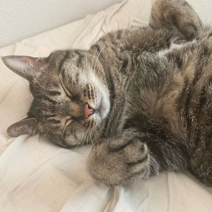 A91cc659 4feb 4289 a594 0b67657efdbd 1685922020234