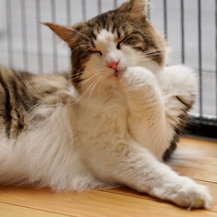 A91ce0e9 f217 41c5 9b4b f84a267edf61 1569289097583