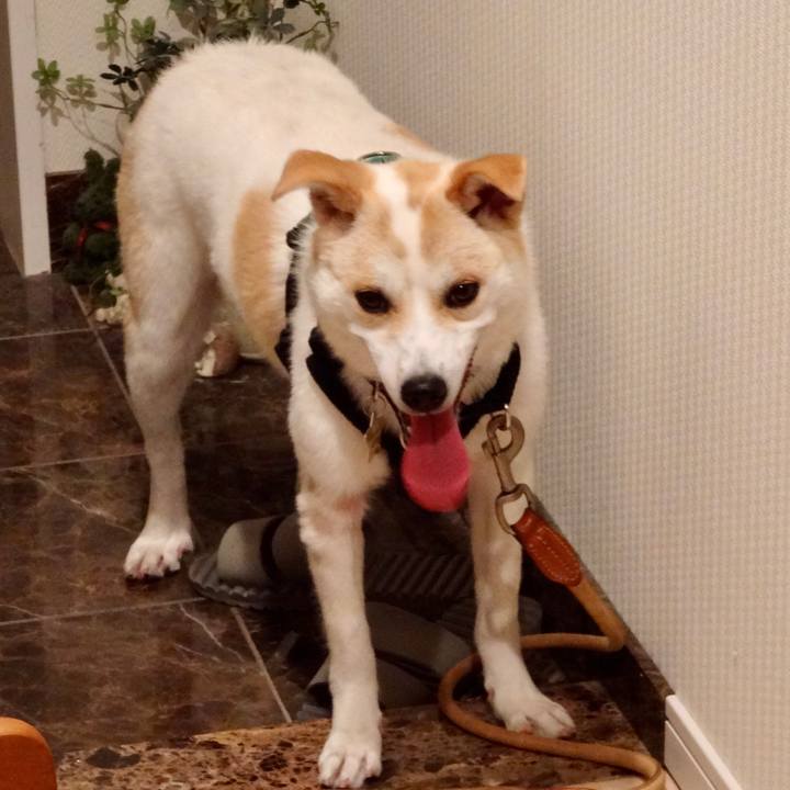 A91cfd36 7d65 4abc 9669 6dd21128eeb4 1686024000211