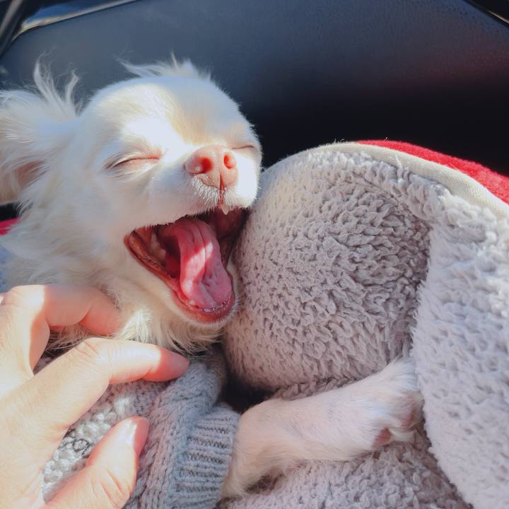 A91d109c 7dea 4f10 b5bd 5e0b576ff66a 1764110777464