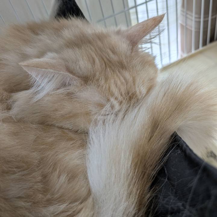 A91d2c37 846f 425a b8ed 1397491c7d9b 1759284469278