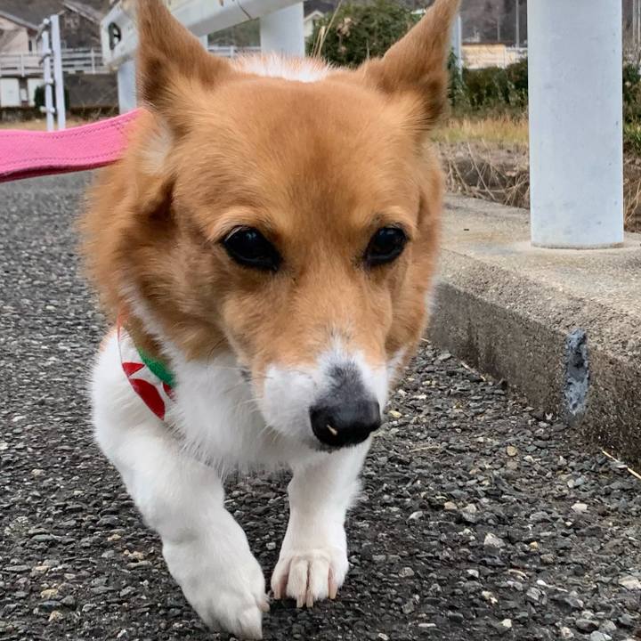 A91d3305 45cf 482c 981f db31198b6209 1705717637088