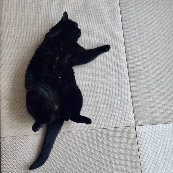 A91d8ac8 10d6 4d84 b86e 3f0b18934e80 1588563353002