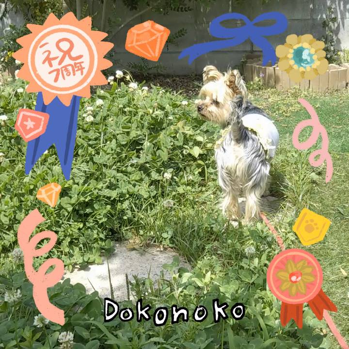 A91db636 b7e6 401a 9a9b ce956fac8e71 1685962584161