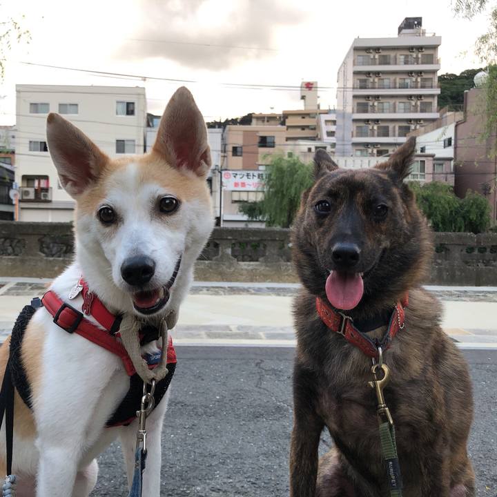 A91dca7b 34d1 4cf0 a8eb 73754b5b3fcd 1595244562644