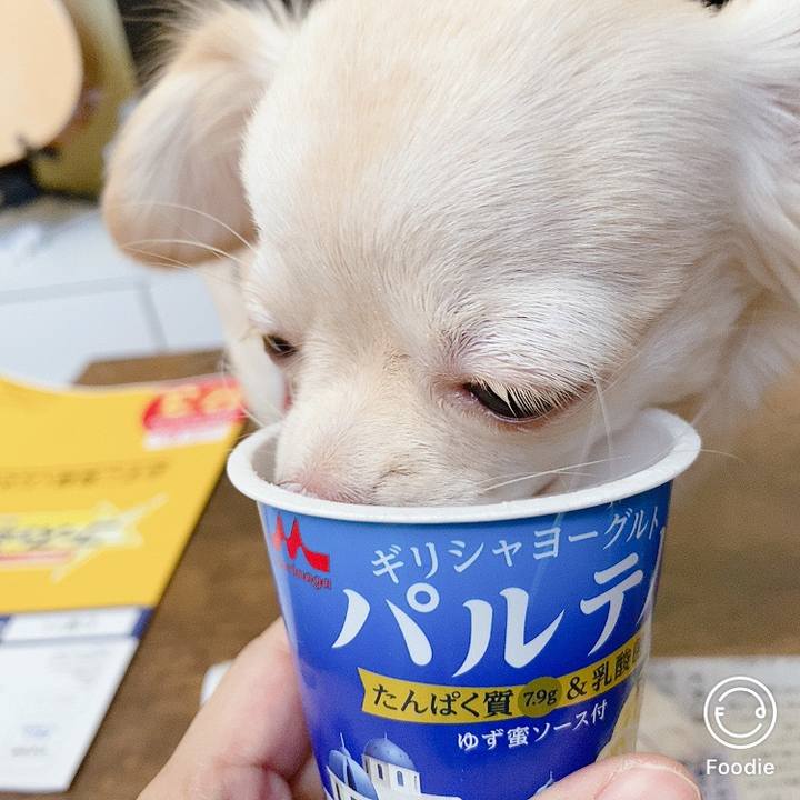 A91dd91a 890f 4d19 a1ab ca79b7a9db9f 1605426707543