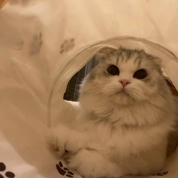 A91e4c0d add3 4d2a b134 5935aff8d9c9 1678313631050