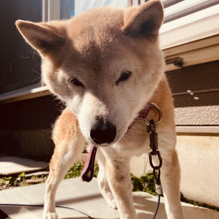 A91e75bf 4ea3 4dc8 860d 1282ba057a9d 1707812646002