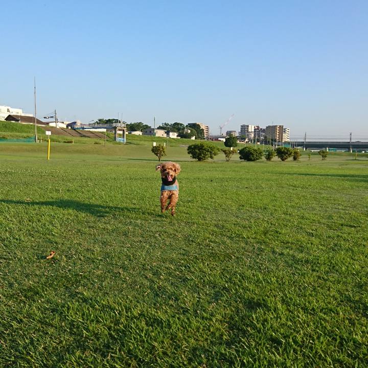 A91ea3f8 db8d 469d baca 4ca5dc267710 1560371882407