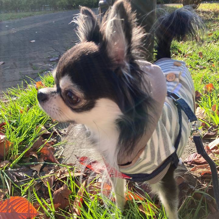 A91eb42e c354 4940 b9a7 2869a9d97a16 1669556877669