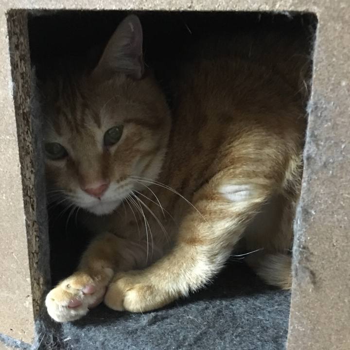 A91f8238 d607 4a3b 8a08 5e23d35a80cf 1537261390052