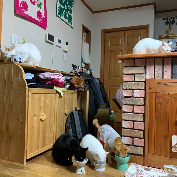 A91f8e6c 3914 45af 8533 821cfa4f2faf 1612129654128