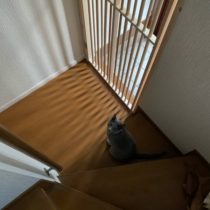 A91f98f0 3242 4e09 8079 3880545f0c08 1582068004706