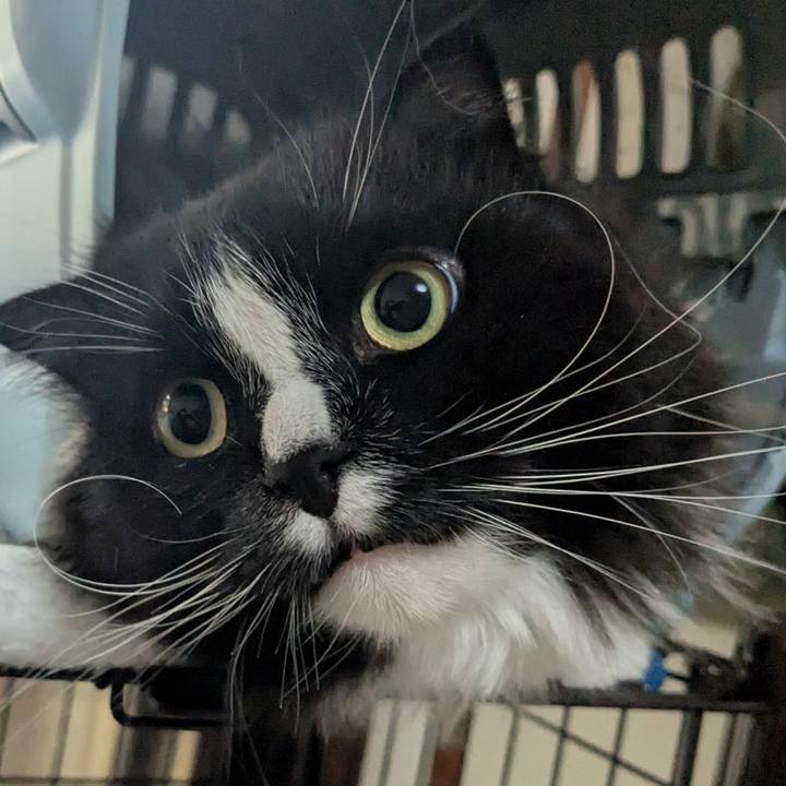 A91ffd92 f7f7 475c 98bc 92f748abb840 1748777807533