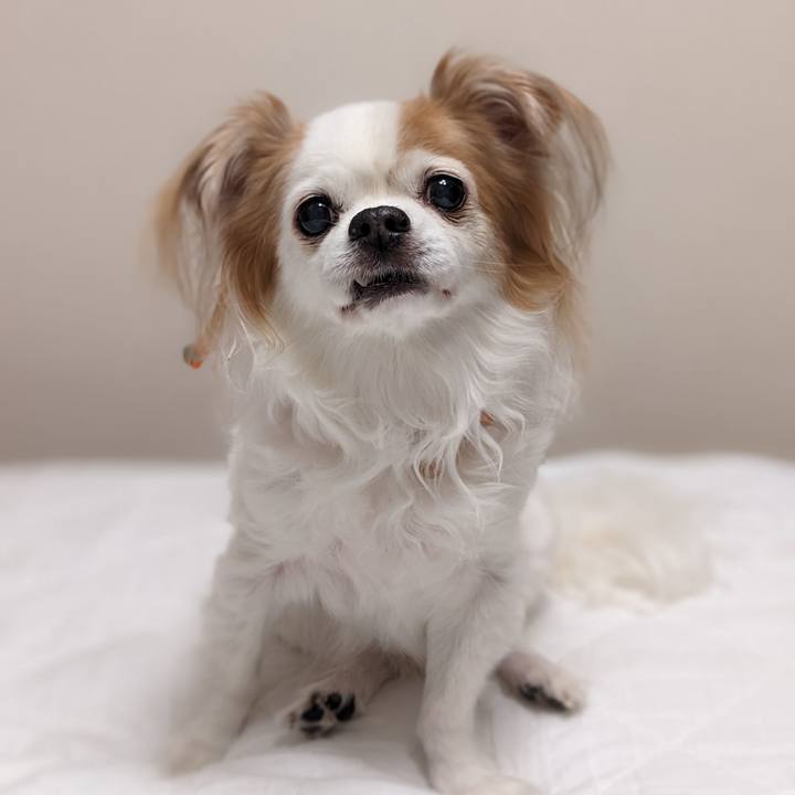 A9200891 00ae 4e36 9fb7 09d5ba0ad424 1676986725182