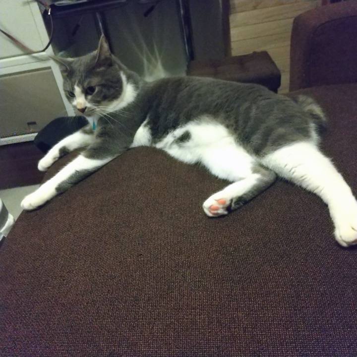 A9200ee8 c2ee 46cb 81a1 2ff7c2e5d3c5 1631532096580