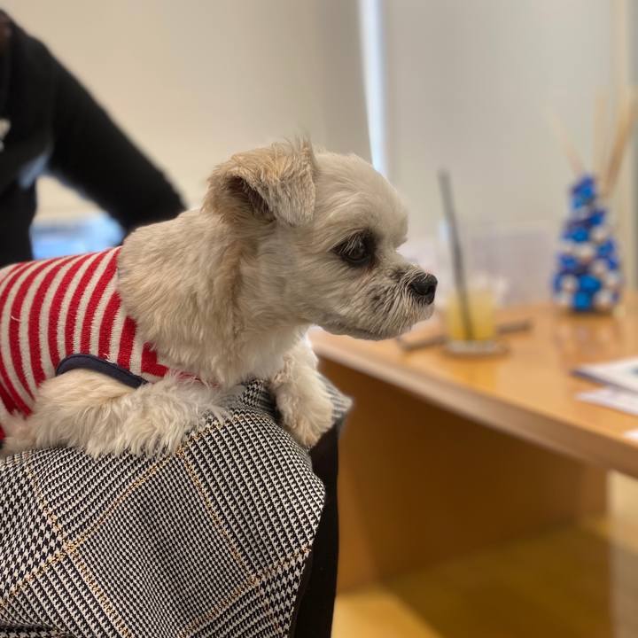 A9201f62 0052 4976 b95d 6b3813533d98 1576385193155