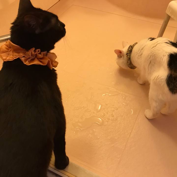 A9204bc1 11ec 4c3c 94b2 cc25c4d093ed 1628983857368