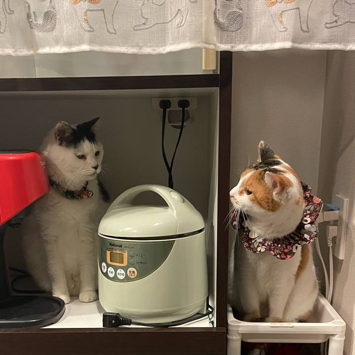 A92056a8 1b17 4d50 90e1 a49098ce4880 1735645062506