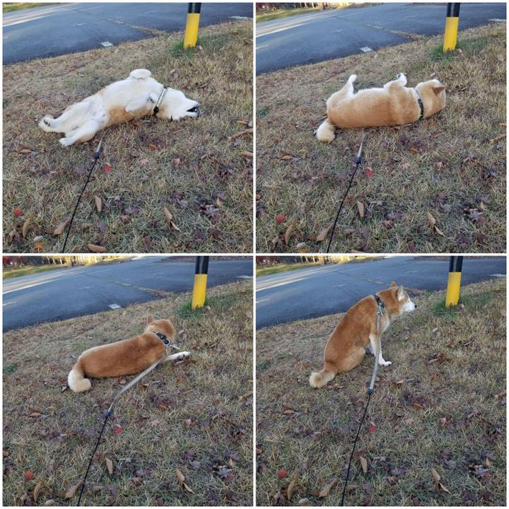 A9207442 1be2 4e06 ad47 9cf4e1f23bb7 1700549694639