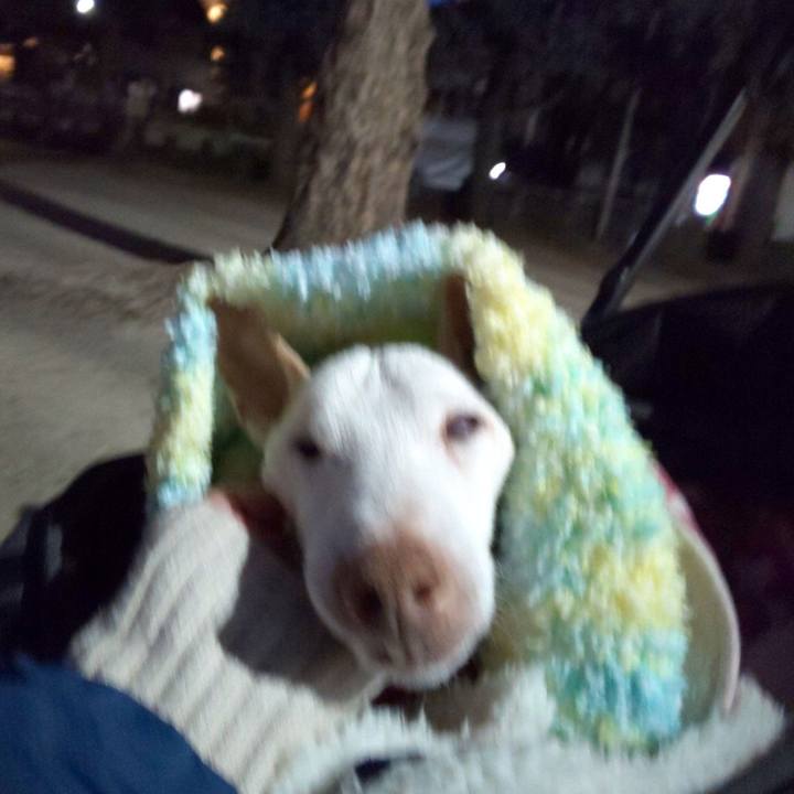 A9207e28 5927 4f7b 92f3 18998f743cda 1612862413453