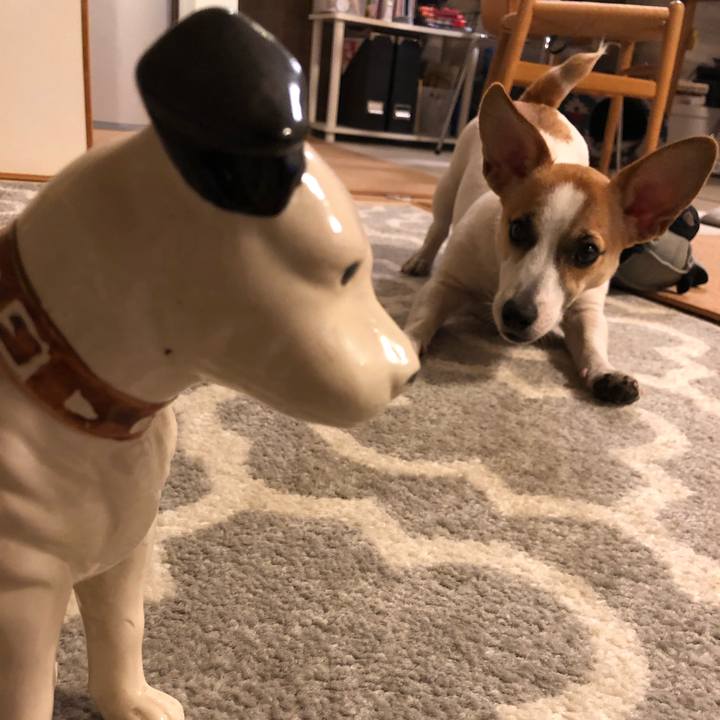 A9208ad2 9024 4362 bfb5 91893ce05344 1561468094923