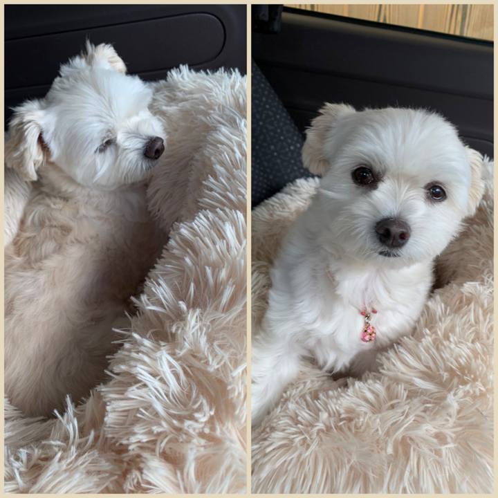 A920925e 74c3 4c73 a385 04189566e3e8 1634907455010