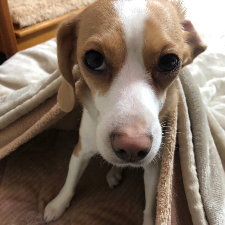 A920cf45 1eab 4271 a350 7dd56effdcca 1553339212875