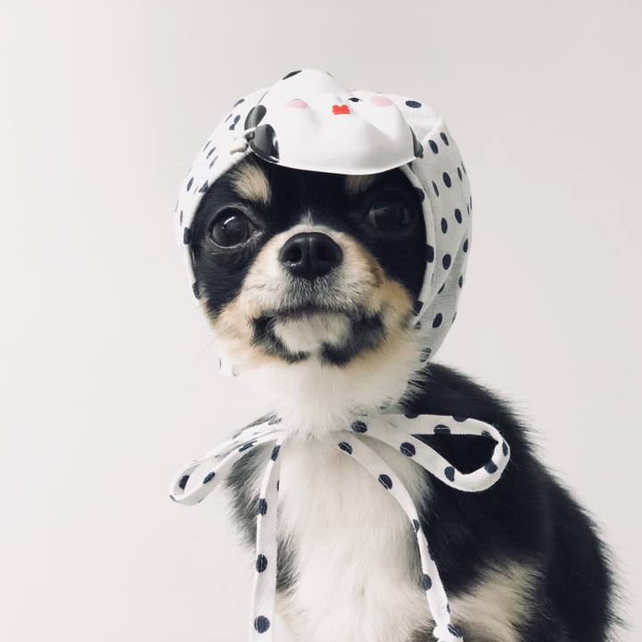 A920d604 fa77 46d6 b41e 695b26fbdbf5 1549370100328