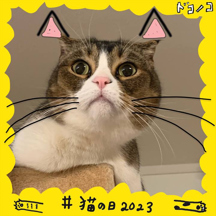 A920d76f 16b7 4030 af18 668aa8bd1602 1677037332579