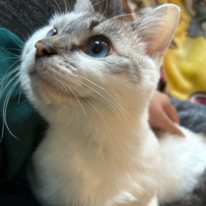 A920df2c 2abc 40c9 8ad2 2f661f82a66c 1707436310205