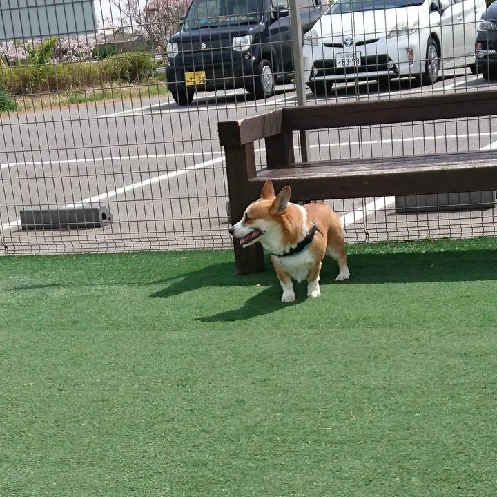 A92101f7 8f14 48b6 bff3 7b6feb42461a 1648782795867