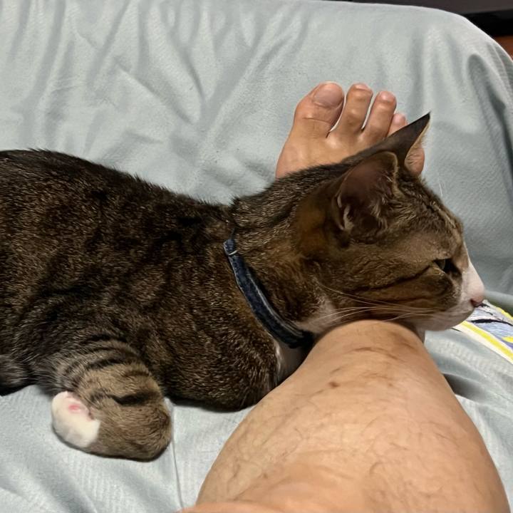 A9211f46 0553 48d2 9af5 1db538918de3 1724755028221