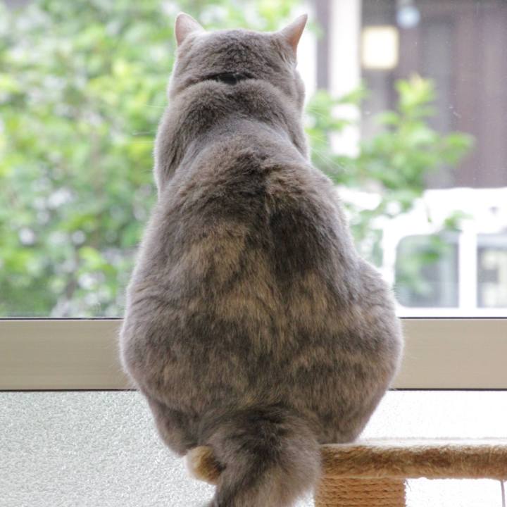 A92134eb d9e3 4082 8ef1 b21e320a12ca 1593575104236