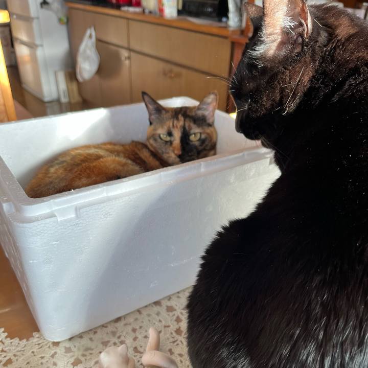 A9214d1c 4d5c 4a35 b84b 1f78c2bc2e98 1768088286383