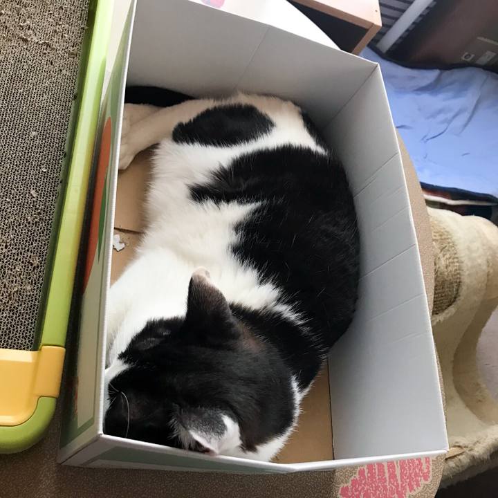 A92172cf fbcb 4439 8e8e 93909fc43641 1529633158118