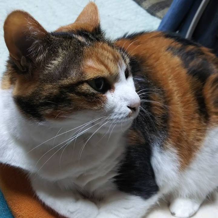 A9219848 bae0 4bde 929b 5fae85005940 1559511934942