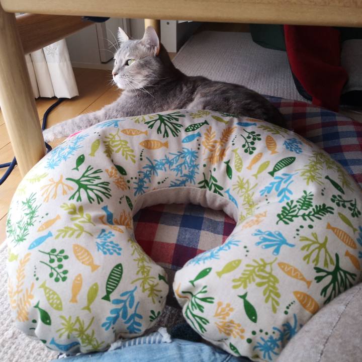 A921a525 62c6 4763 bb17 400b6f7ee521 1556772007150