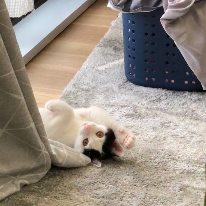 A921ce93 8a81 447d 9500 5115278cd77f 1531129060877