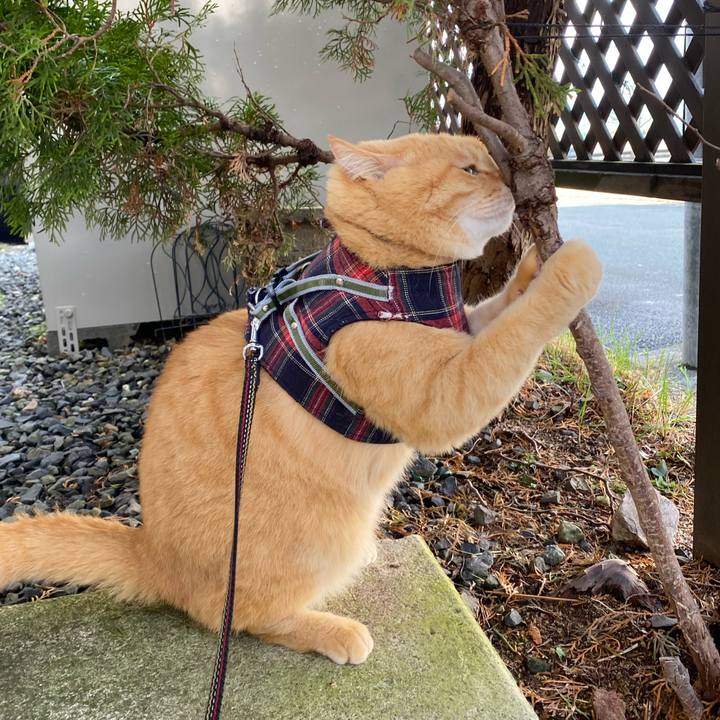 A92206e9 d8e3 4c05 8c29 6718b12ce22a 1670909968288