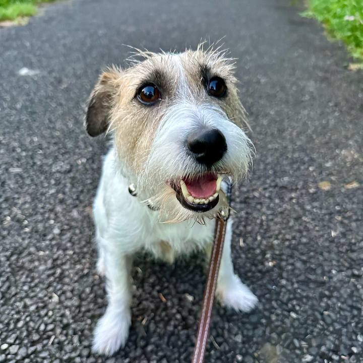 A9224af7 85c0 4cae a154 8953726b637c 1721694684679