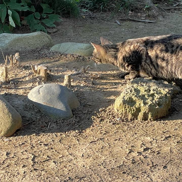 A9224b22 2660 4c27 ba58 e4d717afaa4f 1656277405801