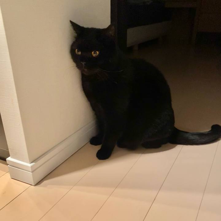 A92296e8 f303 44d0 a73d 3d8d5130f72e 1714997248410