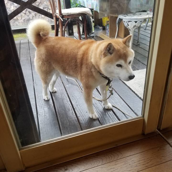 A922a7c8 2ca9 4429 acc9 44f647fcdd2e 1655247390643