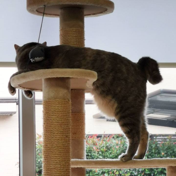 A922a875 3074 4dad 81c0 dad5a83106b7 1635829828800